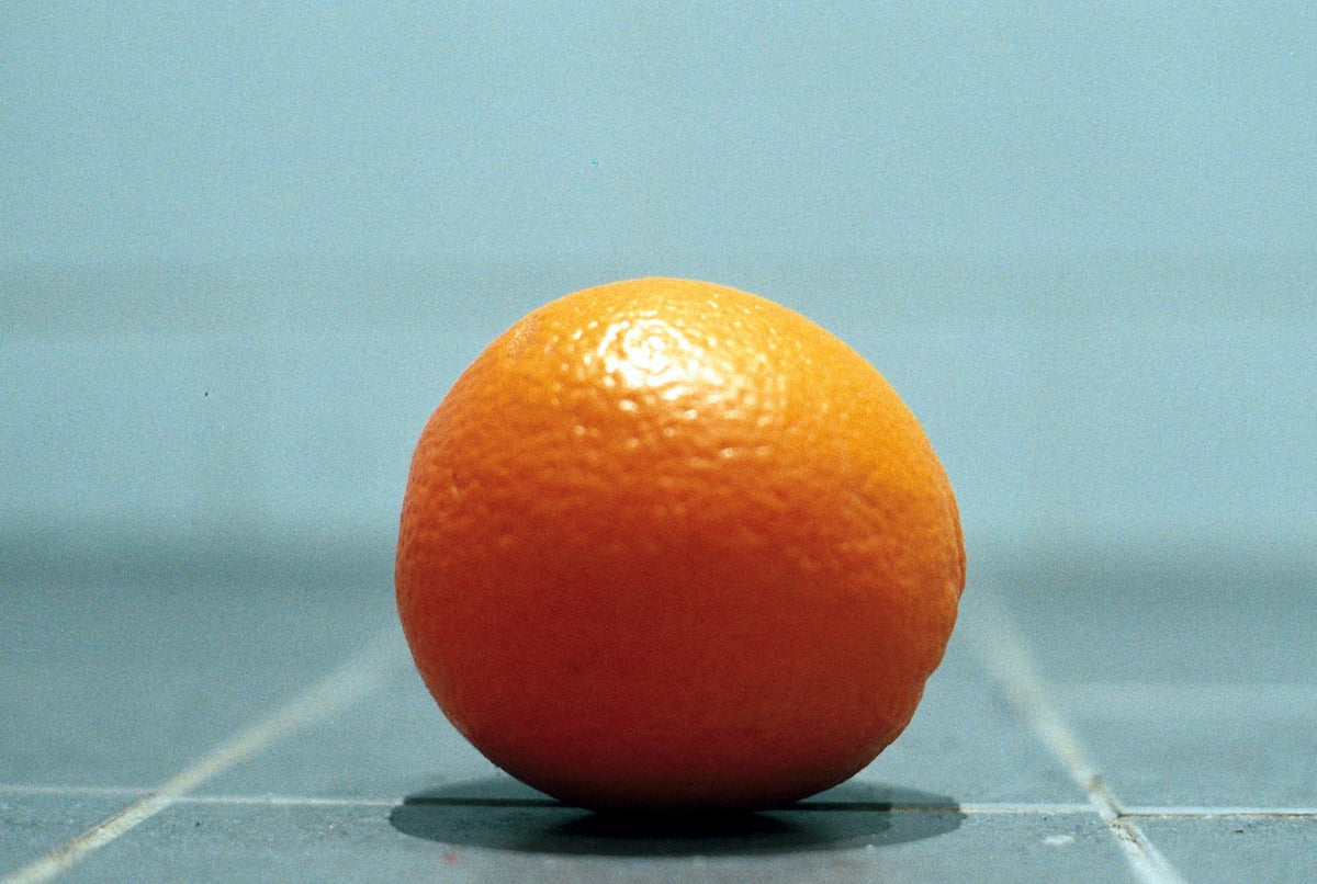 Naranja Charmute, planta de Pomelero