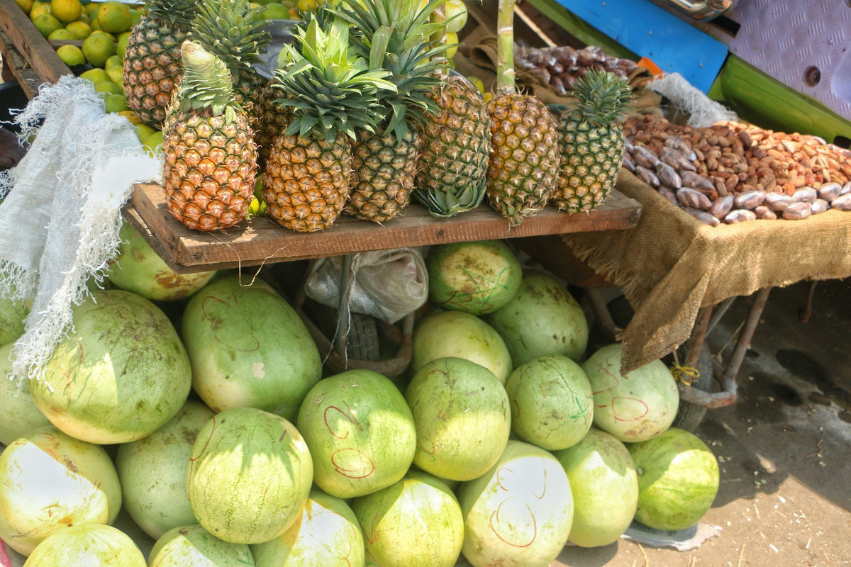 Piña, planta de Pomelero